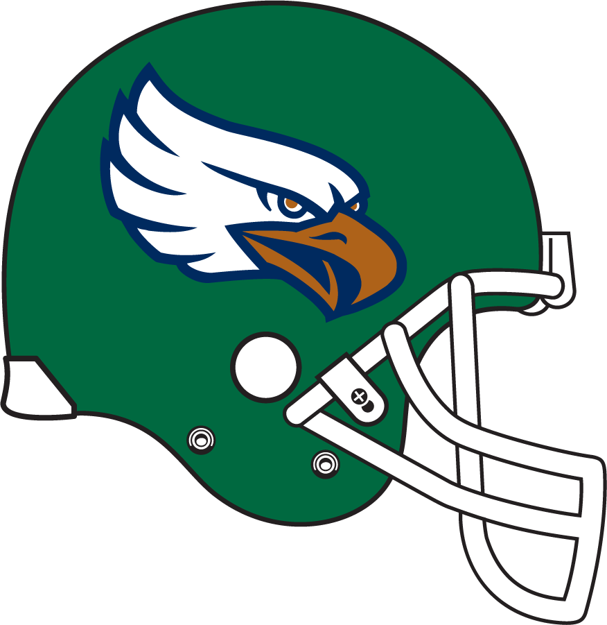 North Texas Mean Green 1998-2000 Helmet DIY iron on transfer (heat transfer)